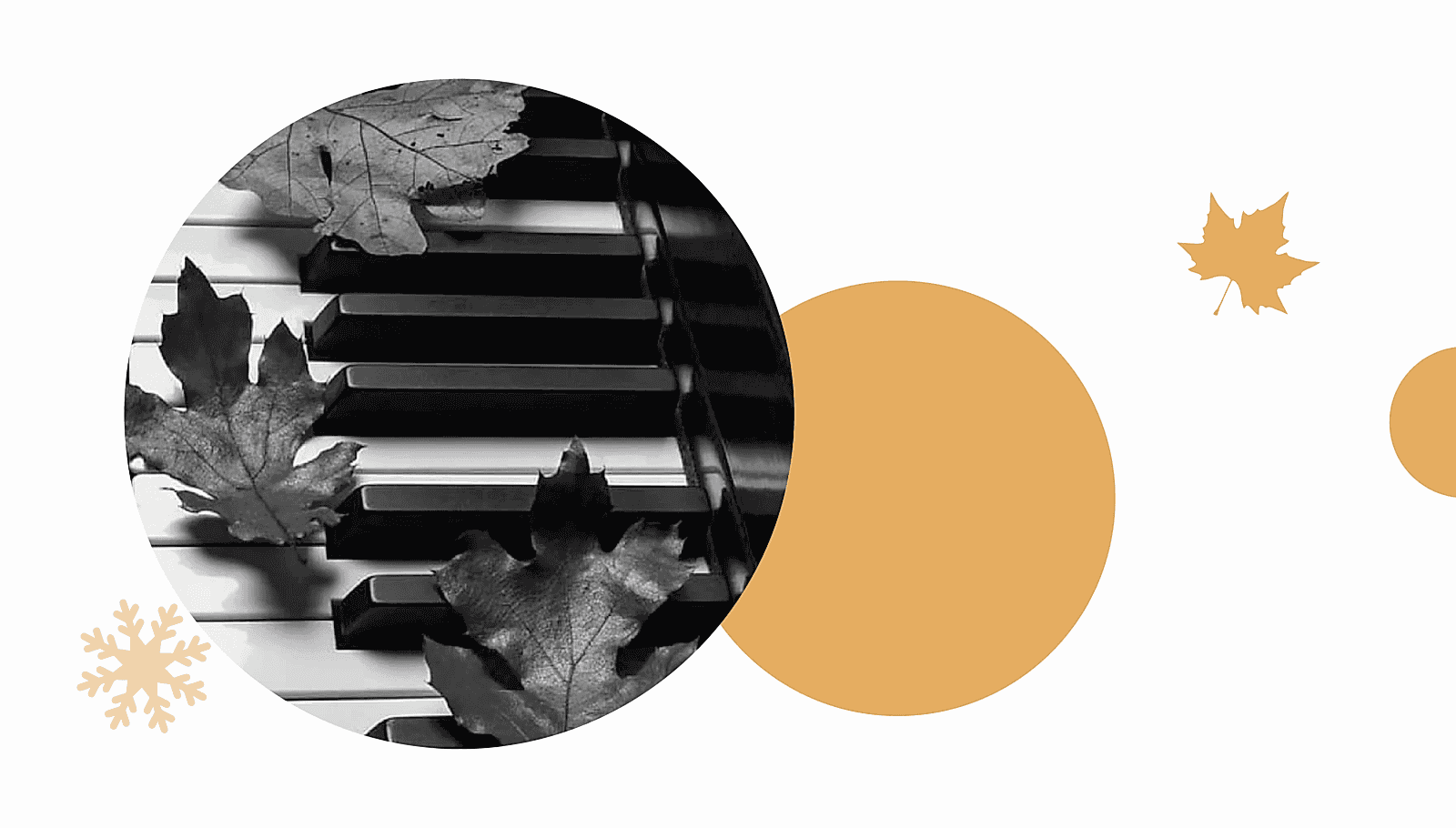 Акции Акции